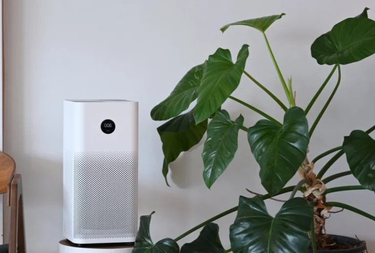 Air purifier and houseplant in a living room, improving indoor air quality and fresh air, with Paradise Heating and Air'